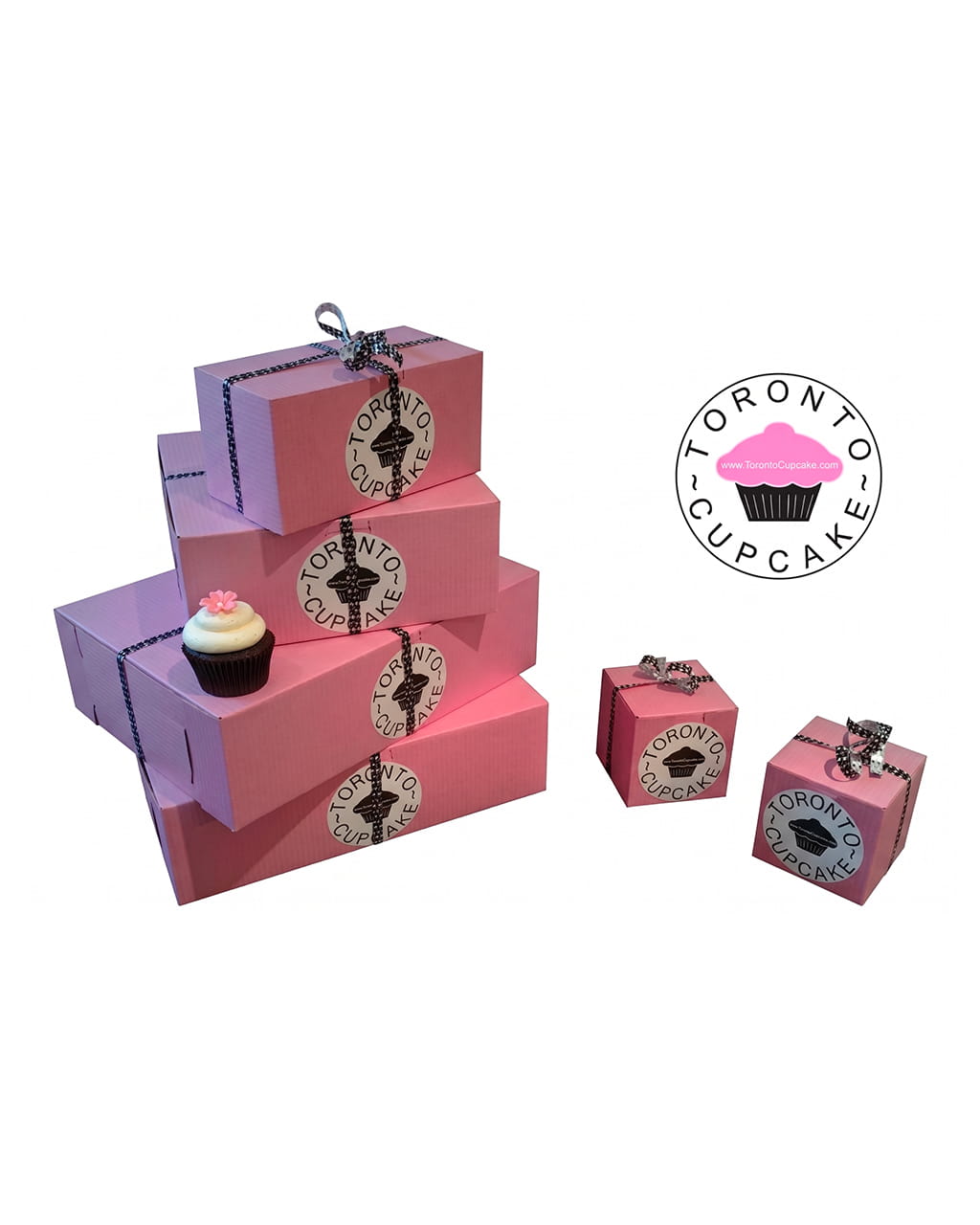 Toronto Cupcake — packaging packshot studio fond blanc